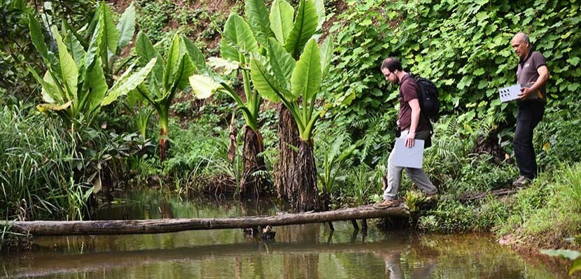 Villanova researcher conducting water-related research in Madagascar