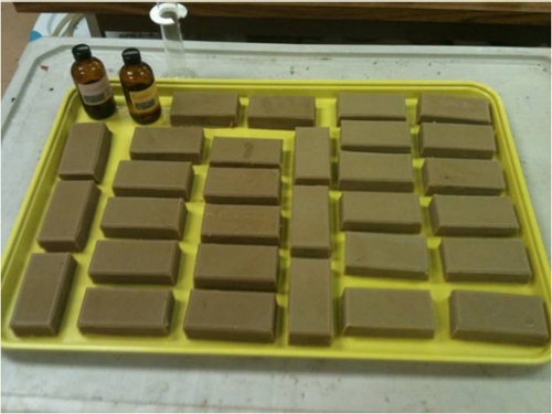 Chemical Engineering Students Create Sustainable Soap