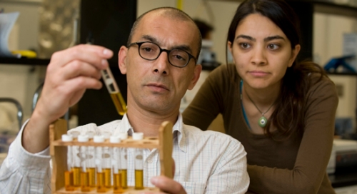 Dr. Metin Duran, Associate Professor of Civil and Environmental Engineering, and Yasemin Dilsad Yilmazel in the EMB Laboratory