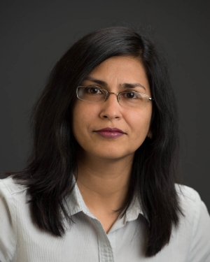 Research Professor Fauzia Ahmad, PhD, Director of CAC Radar Imaging Laboratory