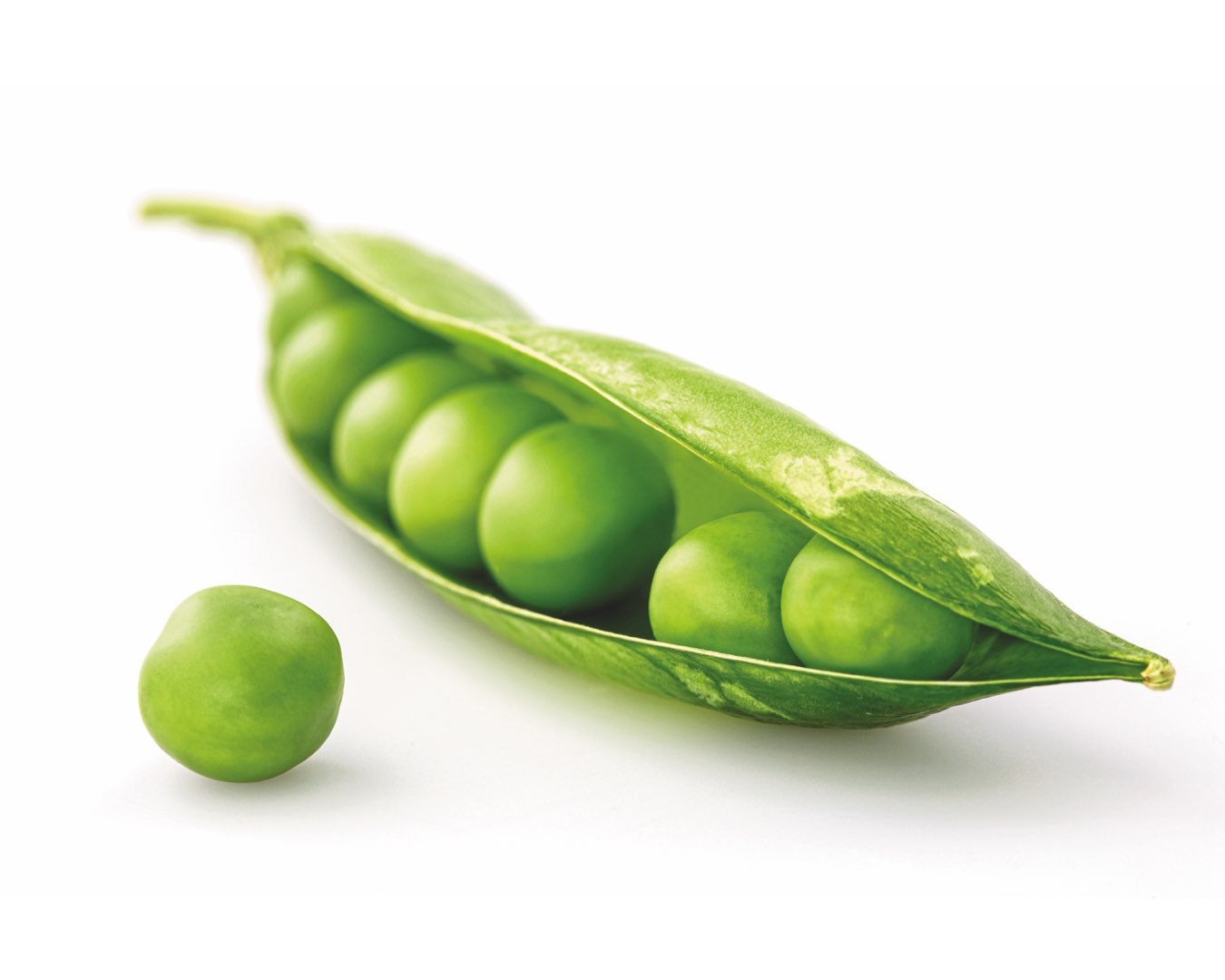Green peas in a pod