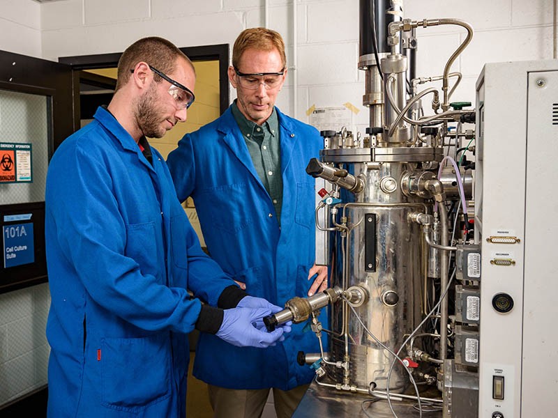 NovaCell Grant Supports Improved CAR-T Therapy Manufacturing