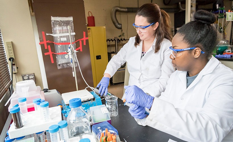 Associate Professor Noelle Comolli works with a student in a lab.