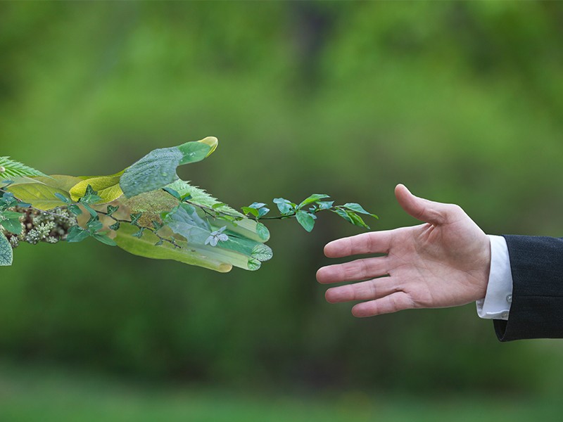 Villanova University Launches Sustainable Enterprise Executive Education & Development Program