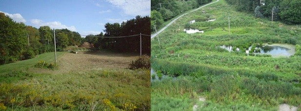Original detention basin (1999) vs. Constructed Stormwater Wetland (2012)