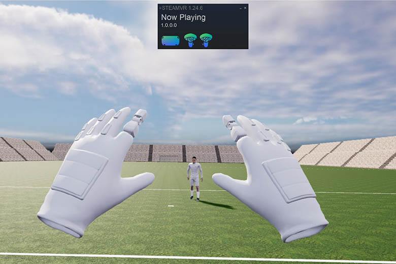 VR for Goalies
