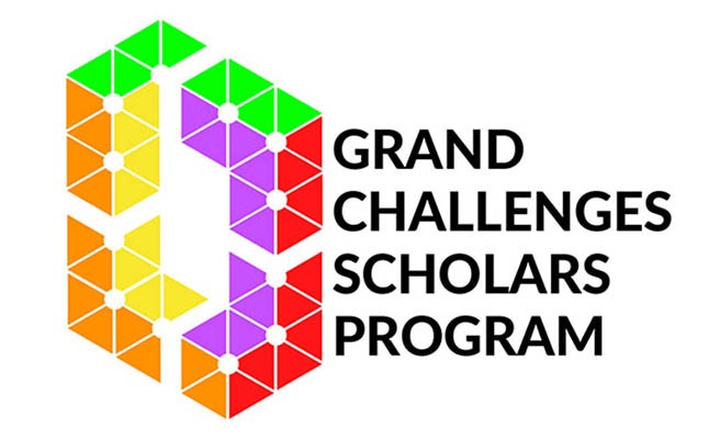 Grand Challenges Scholars Program