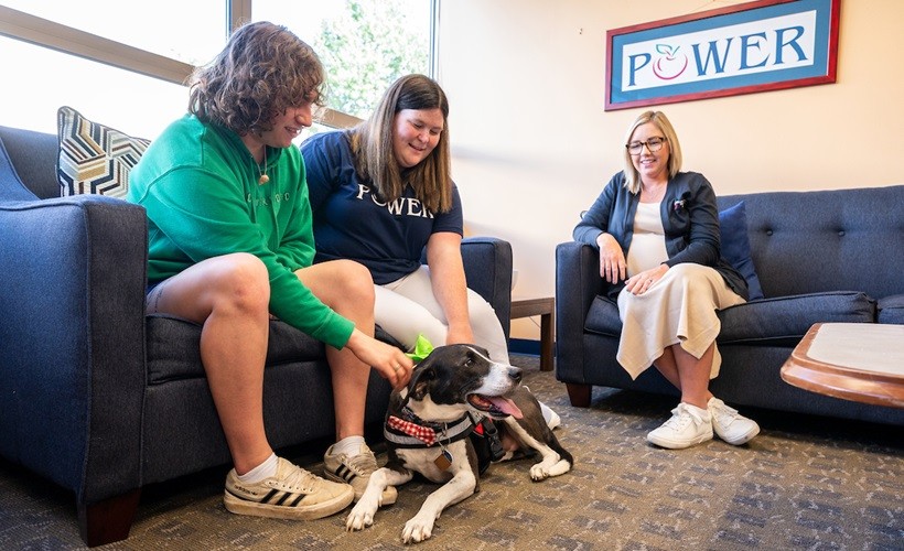 Two students and a Health Promotion staff member pet Villanova's therapy dog 