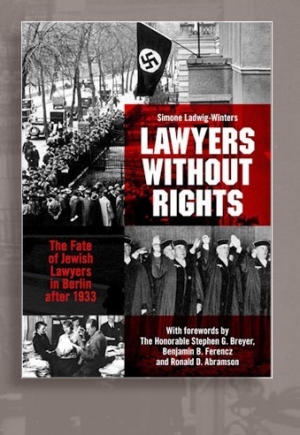 Lawyers without Rights_cover
