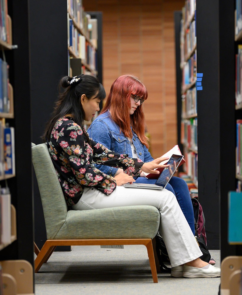 Graduate students work in the library