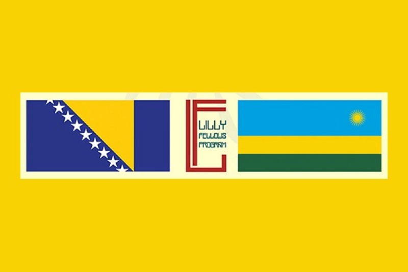 Flags of the nations of Bosnia and Herzegovina and Rwanuda