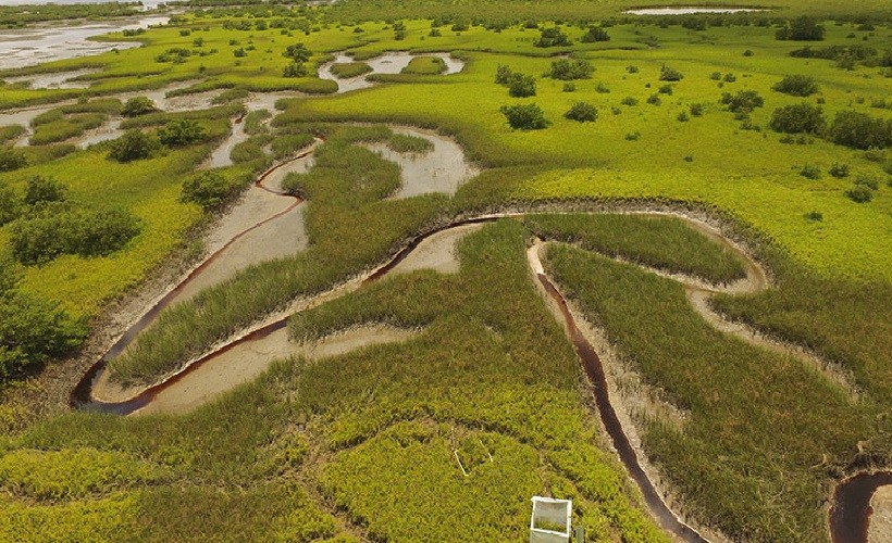 An aerial view of a wetland.