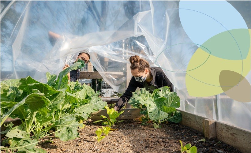 Two students work in the Research Garden on Villanova's campus.