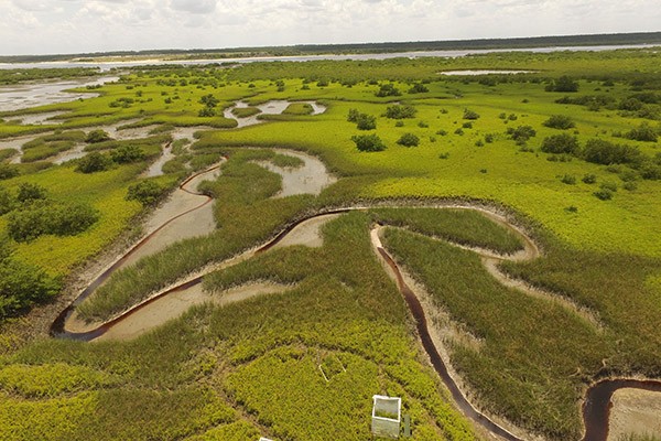 Marsh viewed from above with scientific chambers and meandering stream