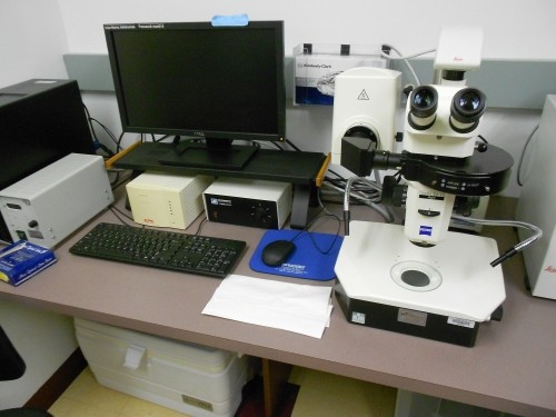 Zeiss Stemi SV11 APO Stereo Microscope with Fluorescence