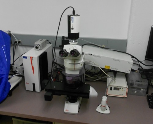 Leica DM LMD Fluorescence Microscope