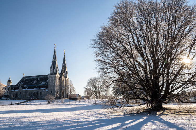 Villanova University Announces the Election of Four New Members to its Board of Trustees