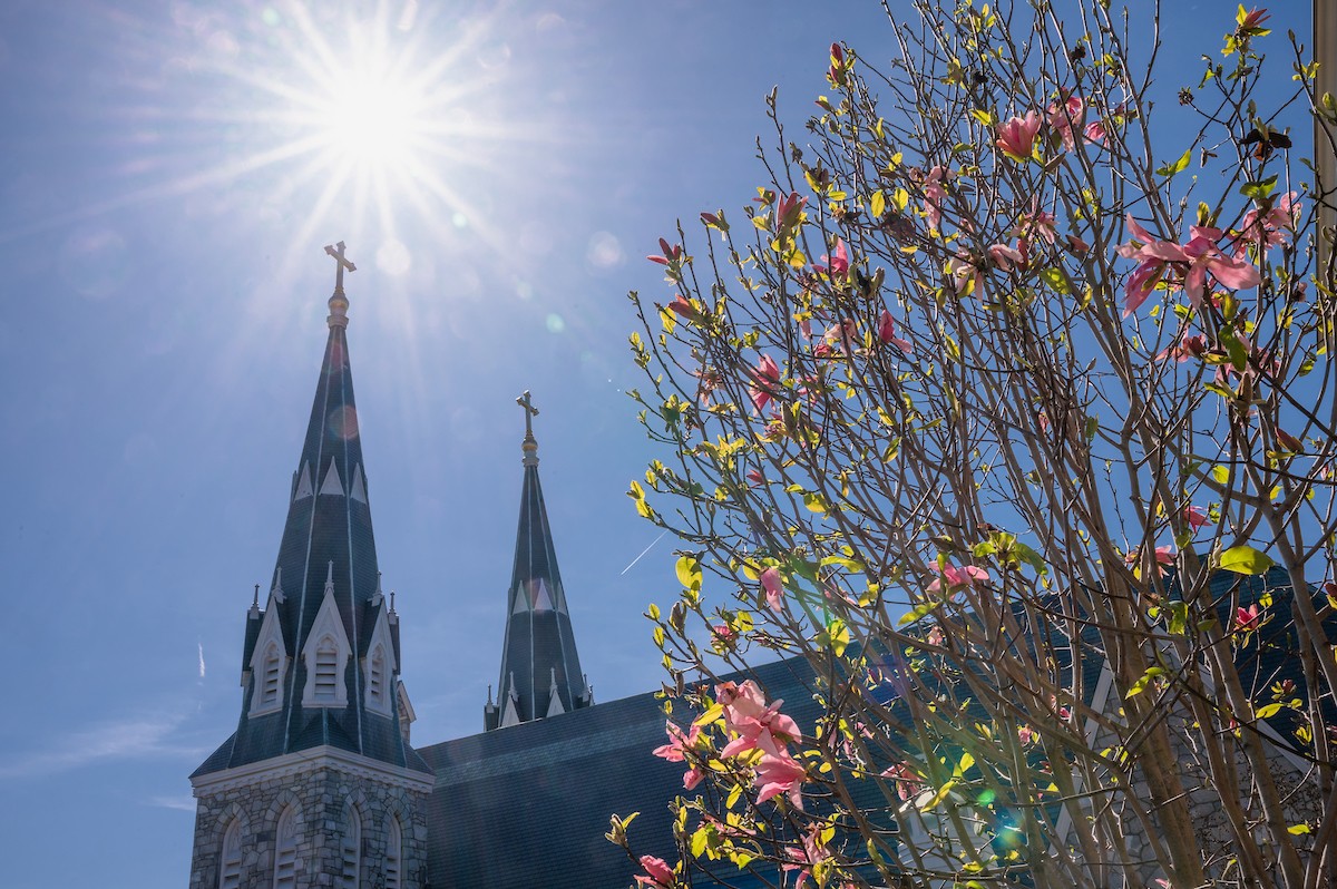 Villanova University’s Office for Sustainability to Host 2024 International Sustainability Conference