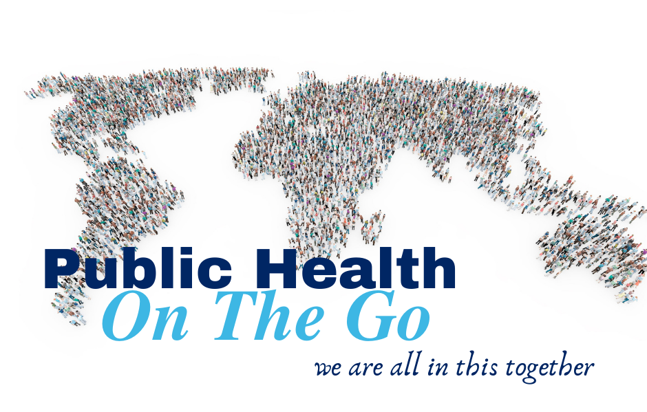 public health webinar