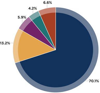 Pie chart showing revenue sources and percentages