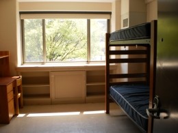 View of a bunk bed and desk in a Sullivan Hall double room.