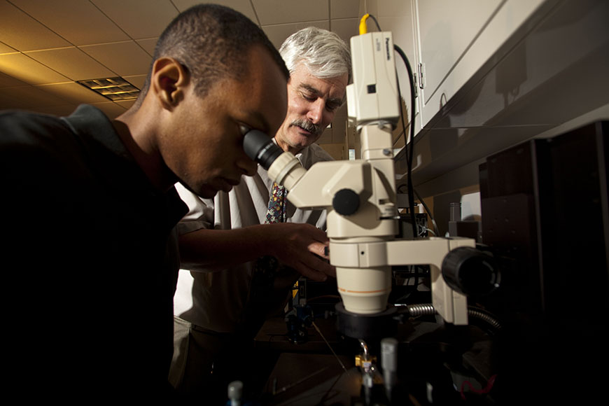 Graduate and undergraduate students work in the laboratory