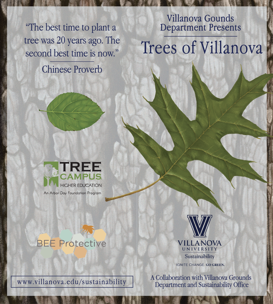 tree brochure cover