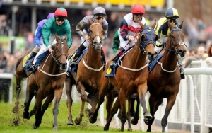 Horses Racing at Chester