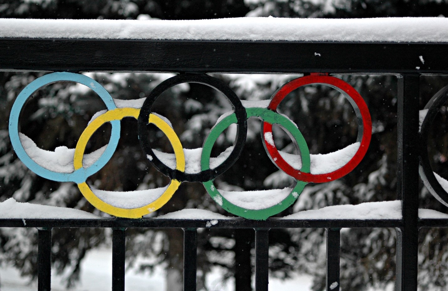 Multi colored Olympic rings forged into a black wrought iron gate which is snow covered