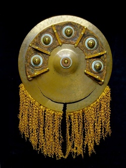 Cymbal Shield
