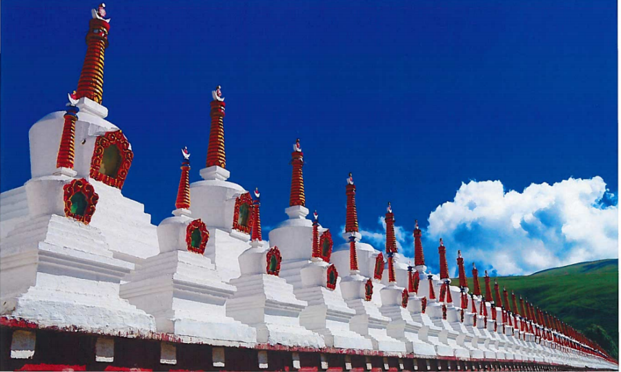 Tibet-White and Red Roof Tops