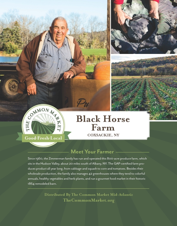 Black Horse Farm in Coxsackie, NY