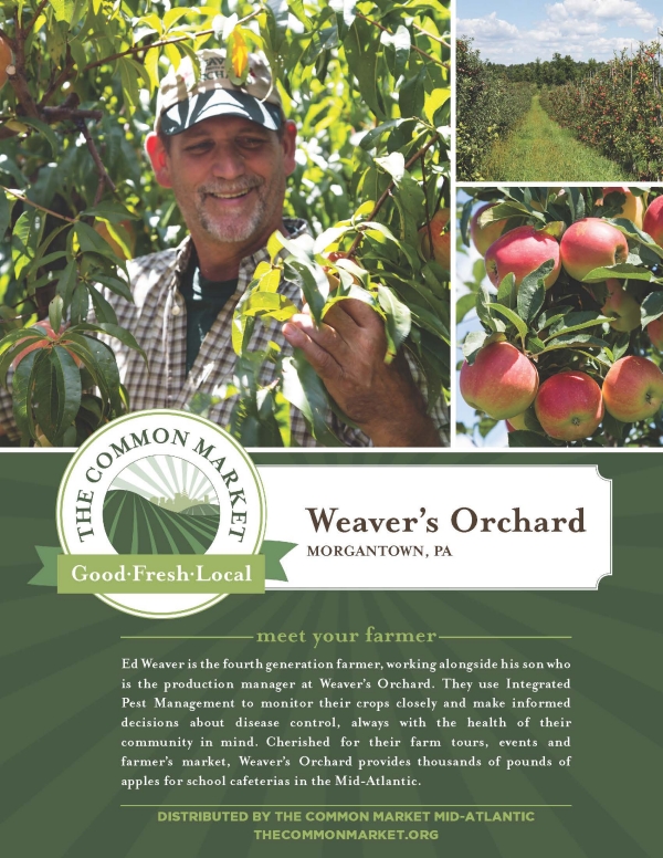 Weavers Orchard in Morgantown, PA