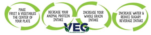 VEG Nutrition Program