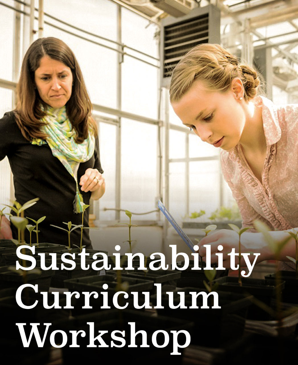 Sustainability Curriculum Workshop Graphic