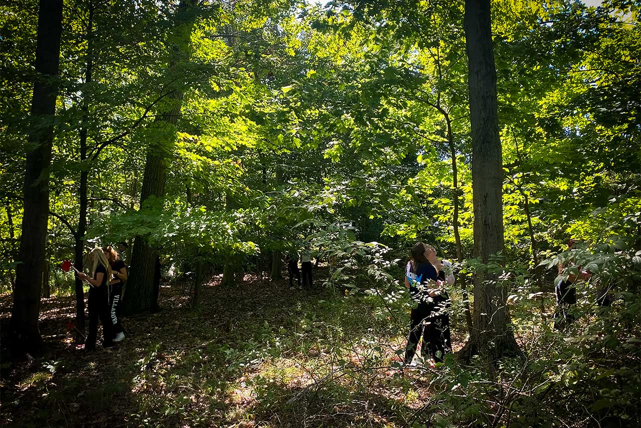 Villanova students explore the forest on West Campus