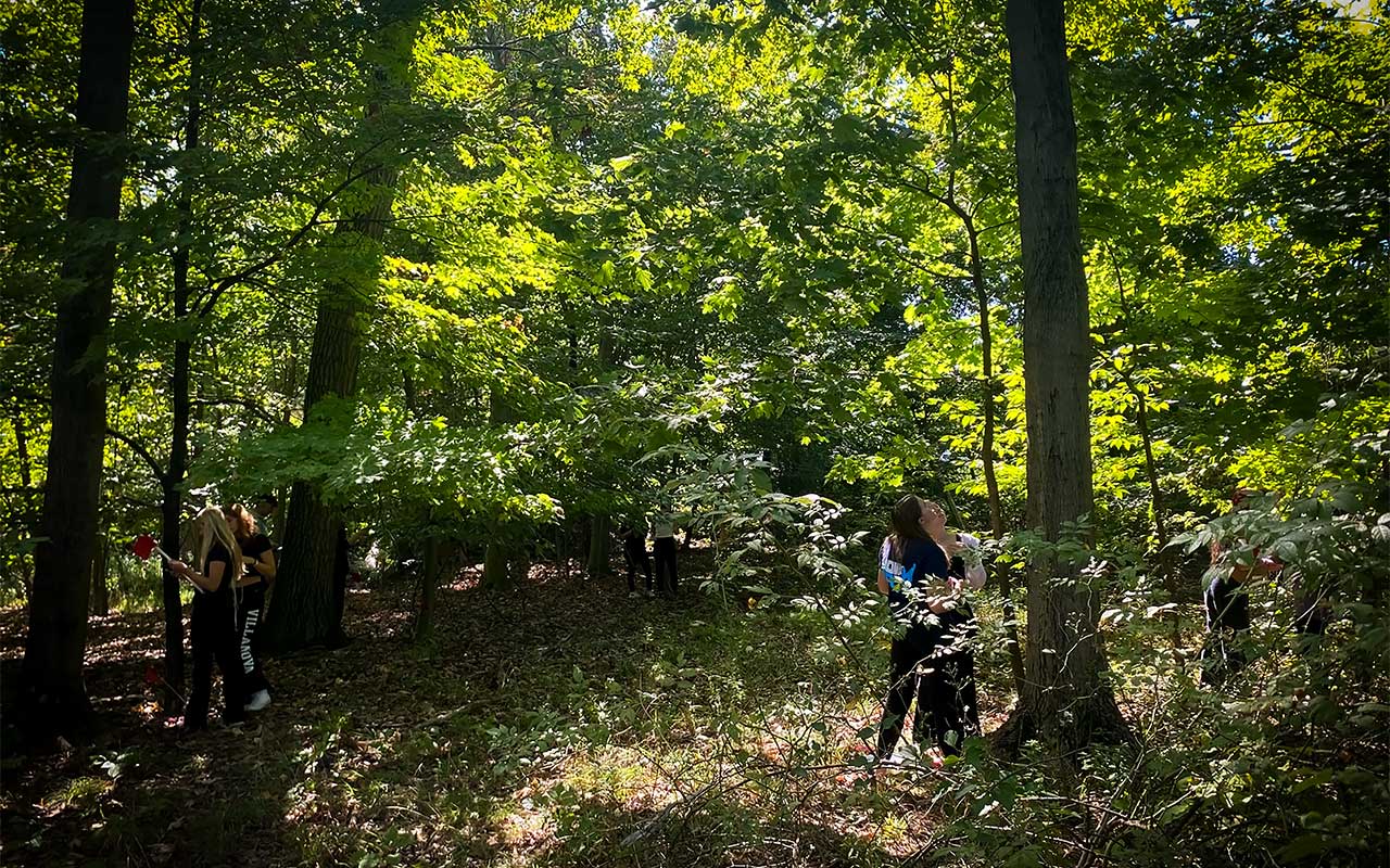 Villanova students explore the forest on West Campus