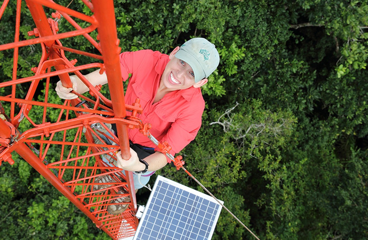 Dr. Alyssa Stark looking up at the top of a tower she's climbing in Panama