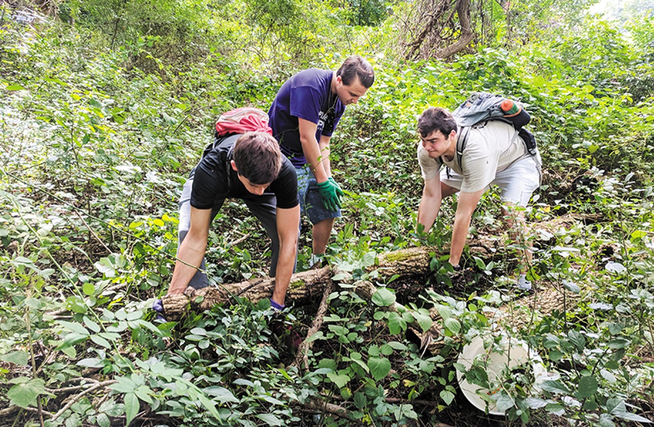 three male lab members collecting ants in a forest habitat