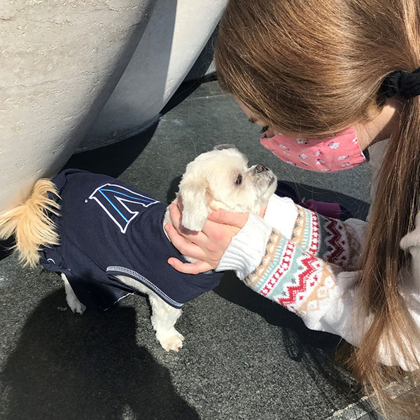 a little white dog wearing Villanova apparel has its face held by a young woman wearing a mask 