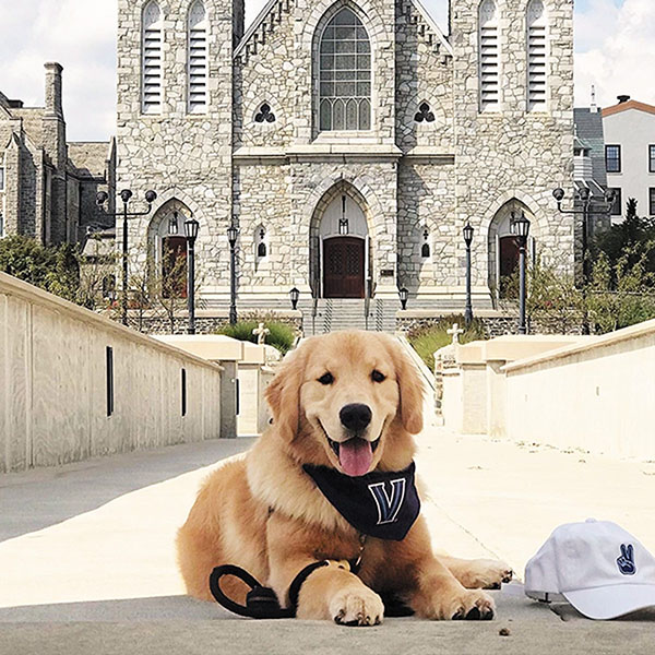 gold-colored dog with tongue hanging out walking in front of St. Thomas of Villanova Church