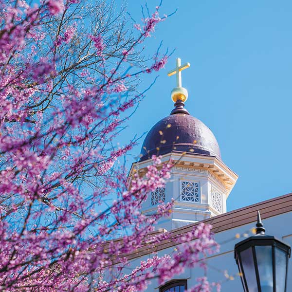 a cherry blossom tree blooms in front of the cross on top of the dome of Alumni Hall