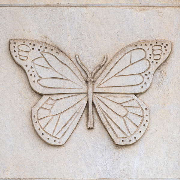 Stone butterfly carving