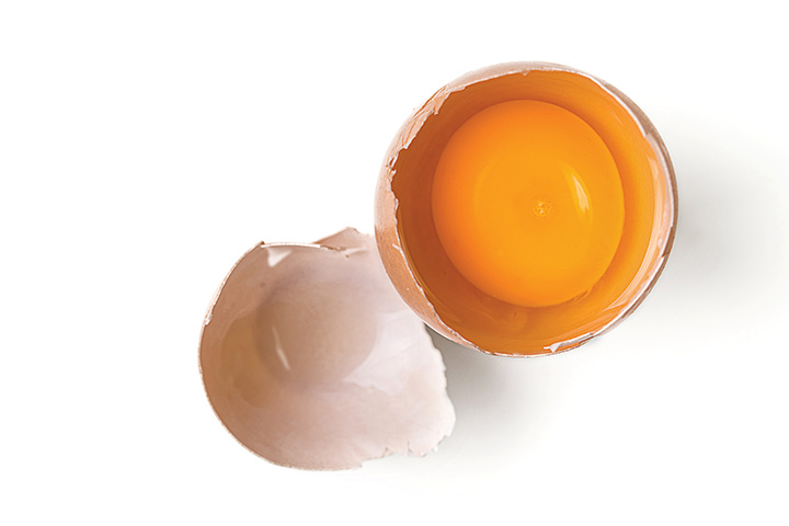 egg yolk in cracked shell