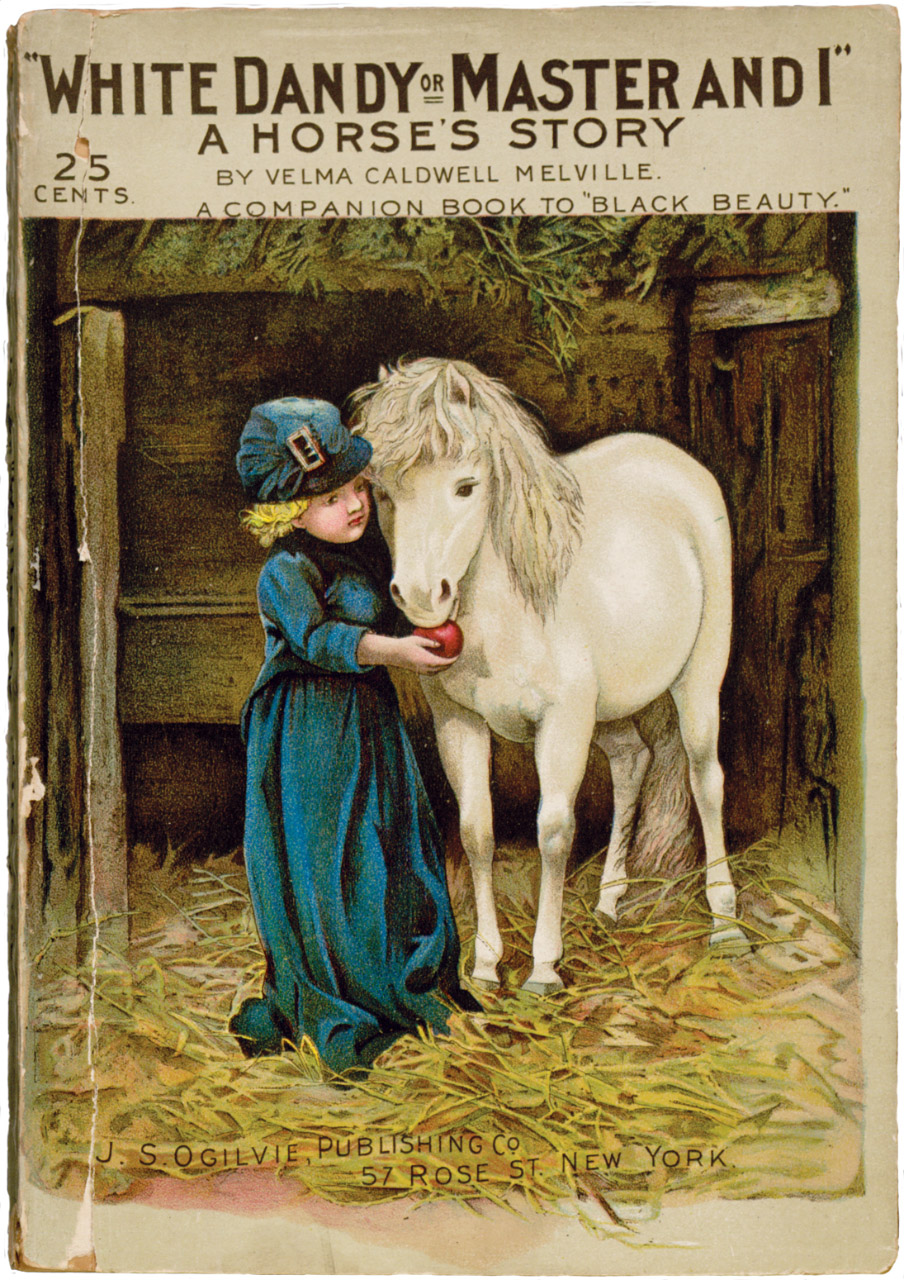 White Dandy: A Horse's Story front cover