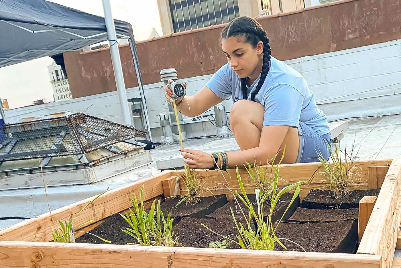 Hannah Darensbourg measuring plants in her rooftop garden in Harlem