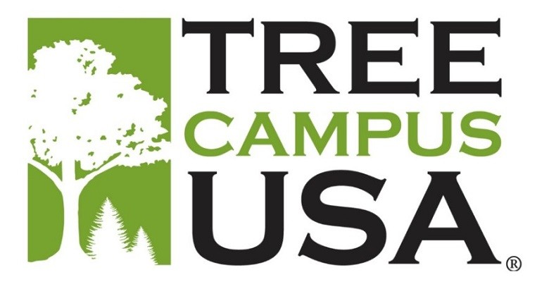 Tree Campus USA logo, a white silhouette of a deciduous tree and two coniferous trees on a green background, next to large black and green text that reads 'Tree Campus USA'