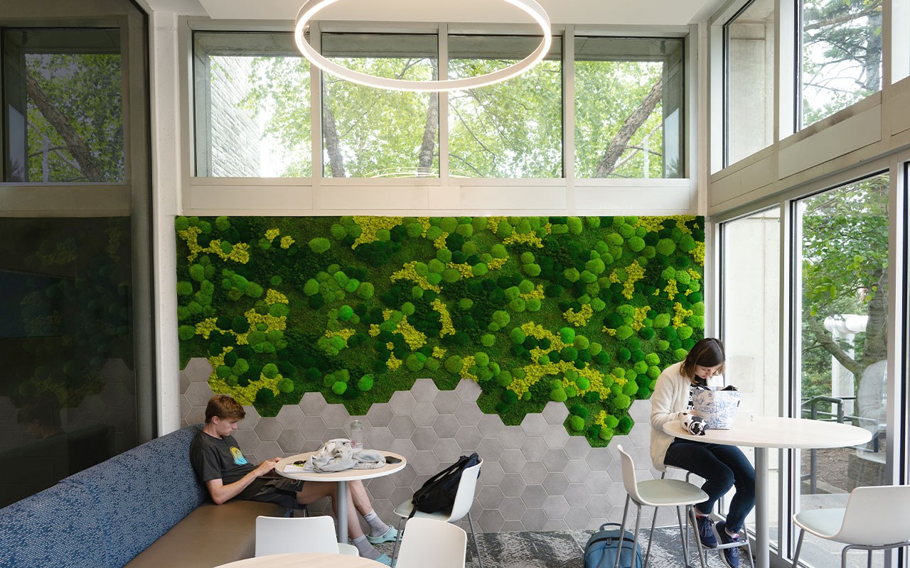 students working in front of a vertical garden wall